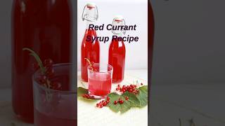 How to make Red Currant Syrup shorts [upl. by Laertnom]