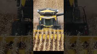 Have you seen the New Holland CR11 combine yet It’s impressive [upl. by Crelin]