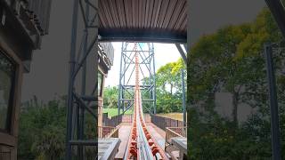 INVERTED HEARTLINE ROLL Roller Coaster 🤯 tigris buschgardenstampa [upl. by Lasser836]