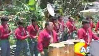 Internacional Banda Real de Huanuco  Adios Juventud [upl. by Arted]