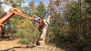 Tree removal and chipping at Plymouth Bluff part 2 [upl. by Hu]