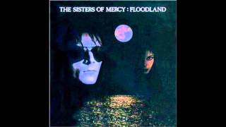 The Sisters of Mercy  This Corrosion Floodland album [upl. by Lledyl383]