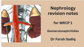 MRCP 1  revision notes  nephrology glomerulonephritis [upl. by Arretak]