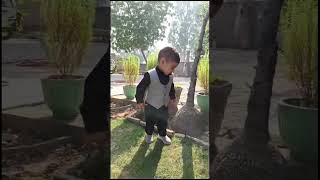 newsong punjabi trendingshorts trending kuber brar sardari garden delhi public [upl. by Prud]