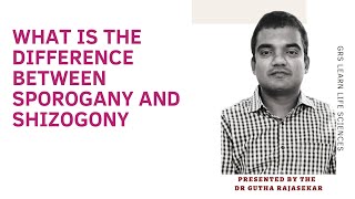 Difference between sporogany and schizogonysporogany shizogony plasmodium life cycle [upl. by Garth]