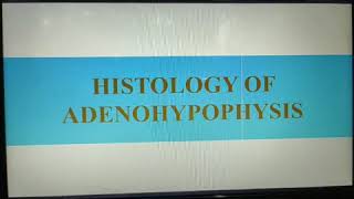 Histology of Adenohypophysis Endocrinology [upl. by Warp713]