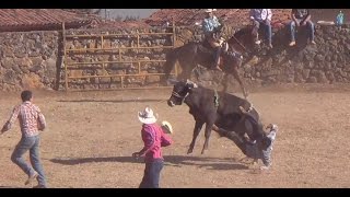 JARIPEO DE TOROS BRAVOS A CAPA LAZO Y JINETE  CHARREADA EN OPONGUIO 2017 [upl. by Ettelrats]