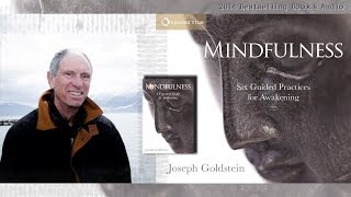 Joseph Goldstein – Mindfulness A Practical Guide to Awakening Audio Excerpt [upl. by Holub]