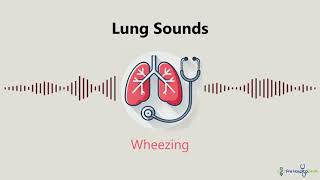 Lung Sounds Wheezing [upl. by Yvi]