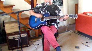 Tommy James and the ShondellsBilly Idol  Mony Mony  Acoustic Cover  Danny McEvoy [upl. by Horne]