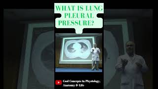 What is Pleural Pressure in lungs 1styearmbbslectures shorts youtubeshorts youtube ytshorts [upl. by Ragnar]