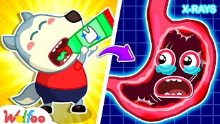 Stop Wolfoo Dont Eat Toothpaste  Home Safety Rules for Kids 🤩Wolfoo Kids Cartoon [upl. by Honeyman298]