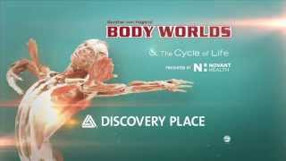 BODY WORLDS Now Open at Discovery Place in Charlotte [upl. by Jacobson]