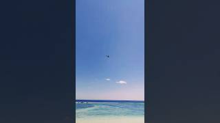 maldives seaplanes beach hulhumale relax [upl. by Nnaik]