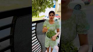 Ye diwar par chunwa kar hi manegi🤣🤣 shortvideo comedy patipatninokjhonk funny love [upl. by Anelav750]