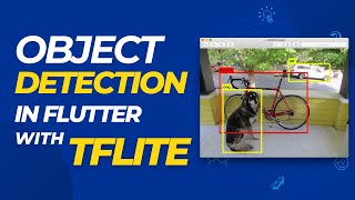 Object detection App in Flutter with TFLite  بالعربي [upl. by Ane]