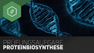 Typische Prüfungsaufgabe – Proteinbiosynthese Teil 5 [upl. by Inat594]