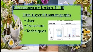 Thin Layer Chromatography Pharmacognosy lecture 14 part 2 pharmacognosy pharmacy dahi [upl. by Orella]