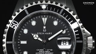 Steinhart Ocean 1 Black [upl. by Placidia]