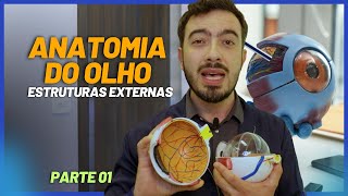 ANATOMIA DO OLHO PARTE 1  Estruturas Externas [upl. by Mord]