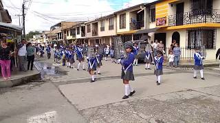 Banda Marcial  Colegio Tecnico Comfacauca Popayán 2018 UHD [upl. by Elwina]