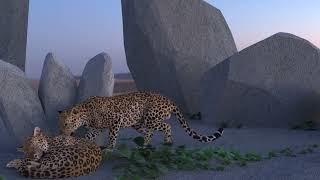 Leopard animation by Cherelle Owusu [upl. by Essiralc]