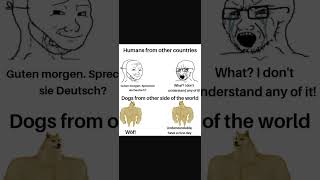 Human 🆚 dog memes funny shorts [upl. by Pironi19]