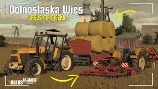 Dolnośląska Wieś FS22 😱URSUS Ma Ciezko🔥Zbieranie Bel 🚜2x Ursus✮ FS22 ✔ Timelapse [upl. by Hevak619]