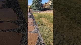 2024 Late fall sod installation We help their life to feel more put together Risky outdoors [upl. by Anastatius453]