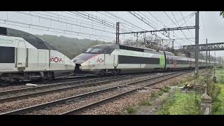 TGV InOui 399  368  10 Novembre 2024  SaintBenoît [upl. by Ahsirk546]