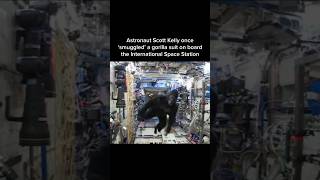 Astronaut Scott Kelly once ‘smuggled a gorilla suit on board the International Space Station [upl. by Lovmilla522]