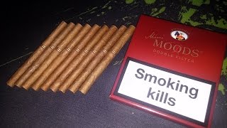 Ritmeester Mini Moods Double Filter Fine Aroma Cigar Review [upl. by Iyre130]