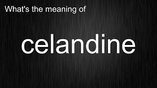 Whats the meaning of quotcelandinequot How to pronounce celandine [upl. by Lelia713]