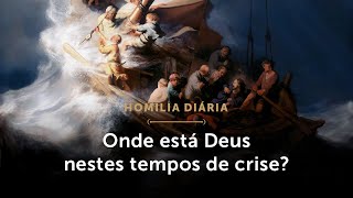 Homilia Diária  As crises da Igreja e a nossa confiança em Deus Sábado da 3ª Sem do Tempo Comum [upl. by Tibbs]