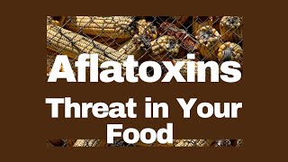 Aflatoxins The Invisible Threat in Your Food [upl. by Oicirbaf]