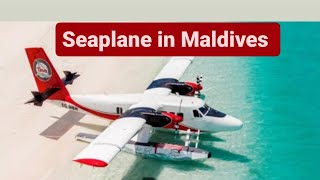 seaplane or water plane transfer maldives sea seaplanes water plain [upl. by Edmond]