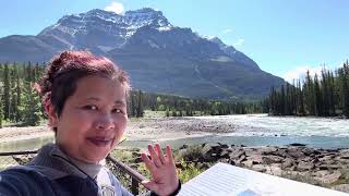 Day 5 part 1 Along the Icefields Parkway [upl. by Ardnajela]