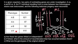 Gene Linkage and Recombination [upl. by Siseneg]