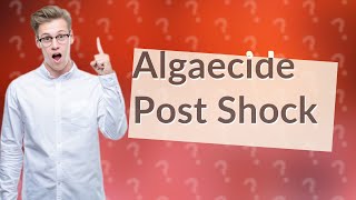 Should I add algaecide after shock [upl. by Eatton575]