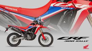 Honda CRF 300 Rally [upl. by Vescuso]