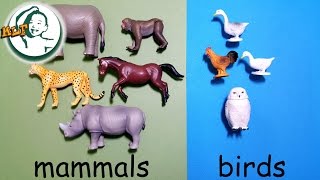 Learn animal classification and animal sounds for kids with Tomy Ania Animal part 2 アニア アニマルだ [upl. by Eahsal]