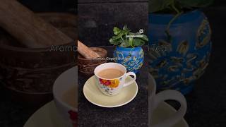 Aromatic Ginger Elaichi Tea Recipe in description gingertea masalatea elaichichai chai [upl. by Pasho]