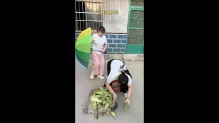 funnydailyvlogfamilyprank [upl. by Natye]