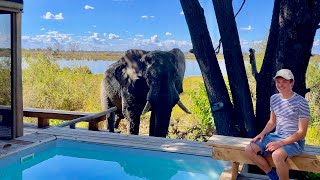 Wilderness Vumbura Plains 5star luxury in Botswanas Okavango Delta lodge tour amp safari [upl. by Bethanne472]