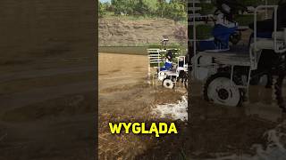 ❌ OGROMNE BŁĘDY PRZY SADZENIU RYŻU w FS25 ❌ fs25 farmingsimulator25 [upl. by Nosredna335]