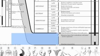 Page 8Geologic HistoryHommocks Earth Science Department [upl. by Prestige]