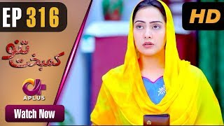 Kambakht Tanno  EP 316  Aplus Nousheen Ahmed Ali Josh  Pakistani Drama  C2U1 [upl. by Ameline159]