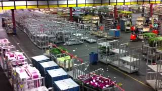 The Largest Flower Market in the World Aalsmeer Holland [upl. by Farlay]