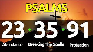 PSALMS 23 35 91  03 Powerful Prayers to Obtain Abundant Blessings and Divine Protection [upl. by Follansbee80]