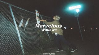 Wallows  Marvelous Lyrics [upl. by Prosser579]